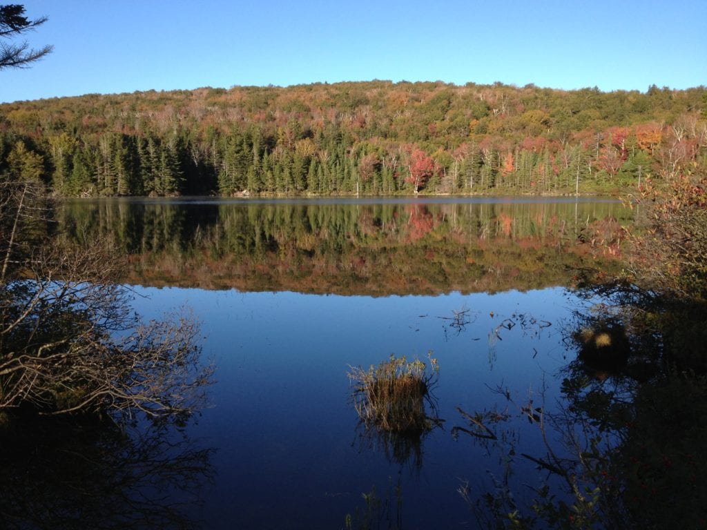 How to Choose a Campsite - Watch that Puddle! | Average Hiker