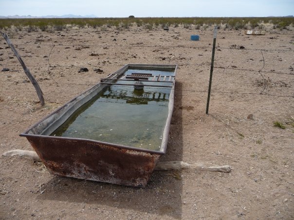 NM Water Trough