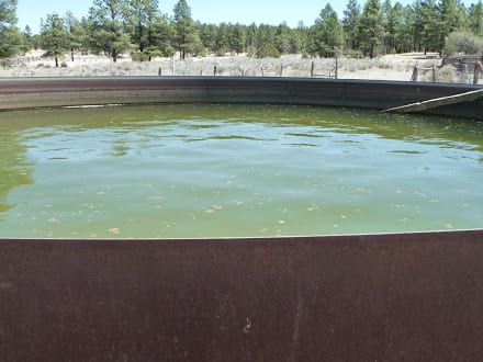 Water Tank near Reserve, NM