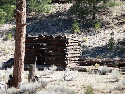 Dilapidated log cabin near Reserve NM