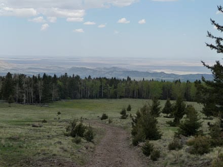 New Mexico Views