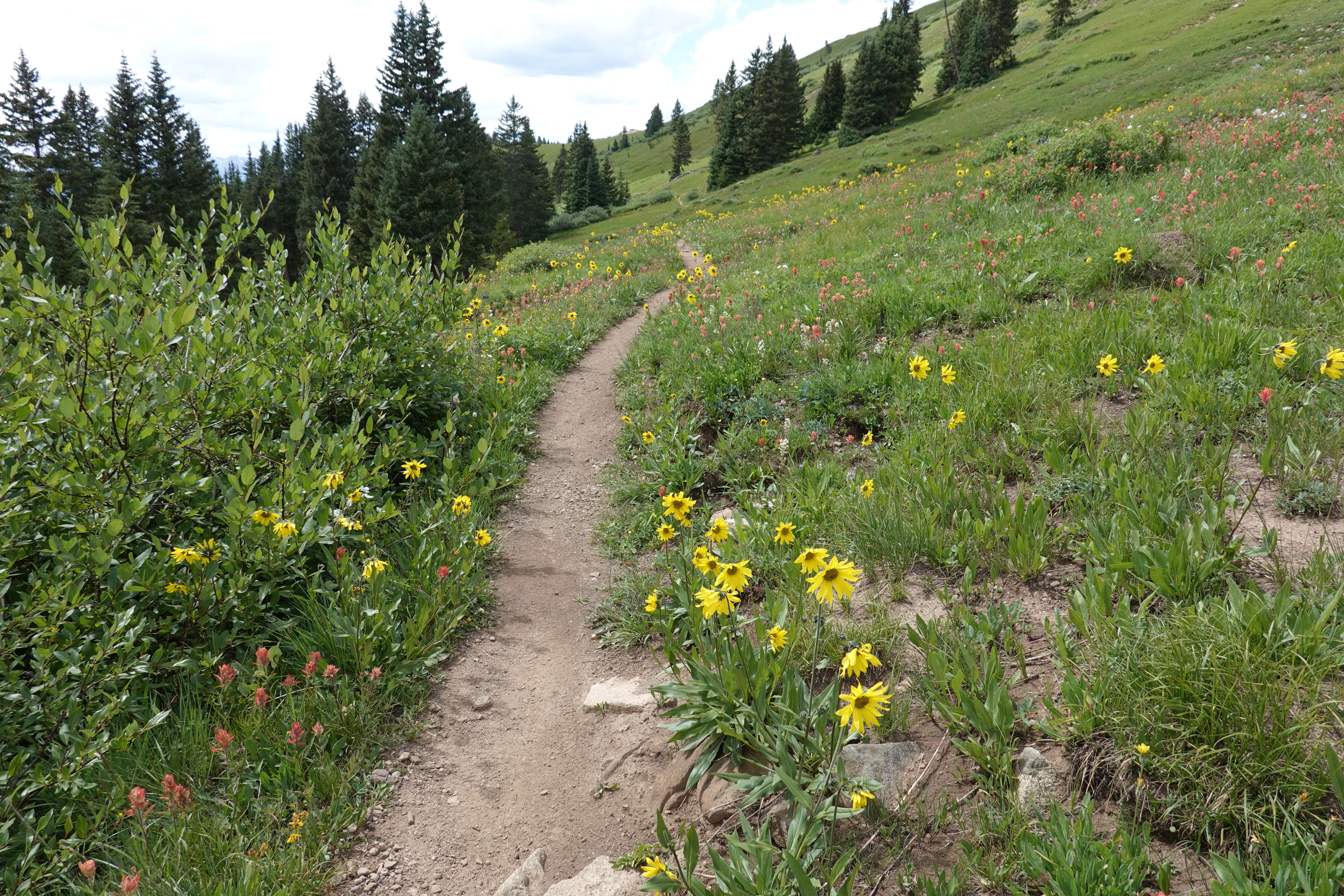 Hike along Creek after Kokomo Pass