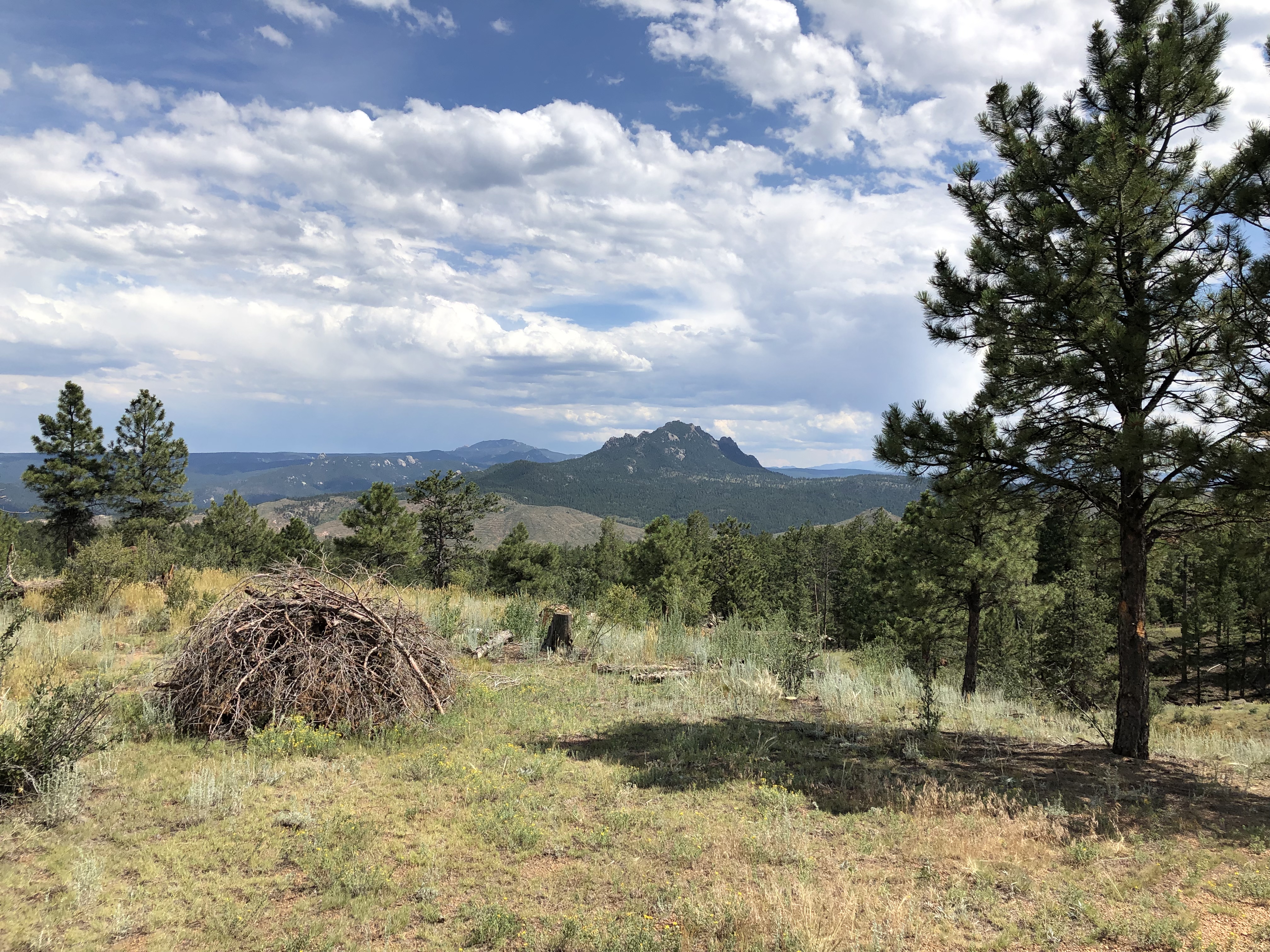 Colorado Trail Views in Section Two.