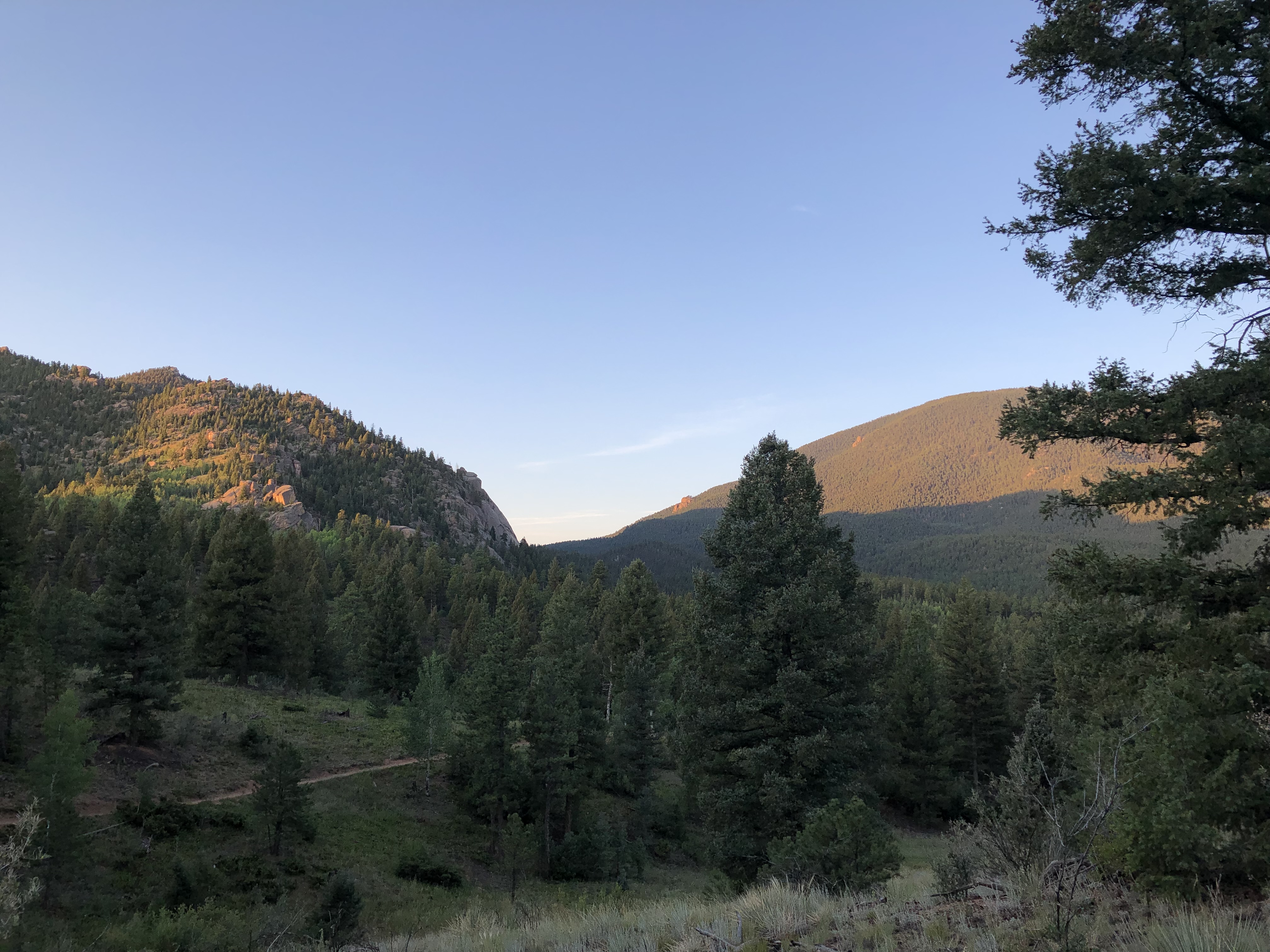 Early morning hike down to the river on the Colorado Trail.