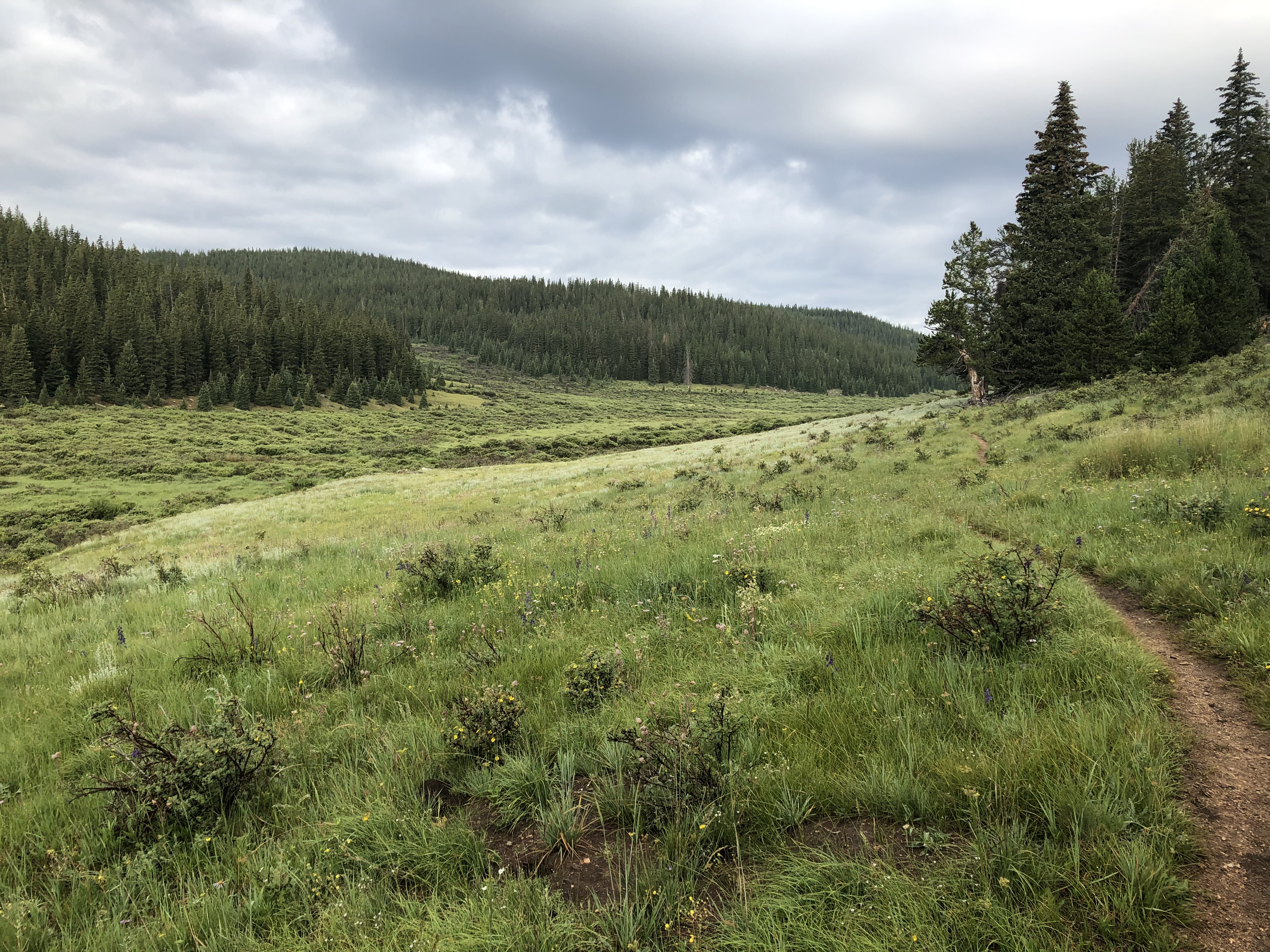 Rolling valley hills and trail