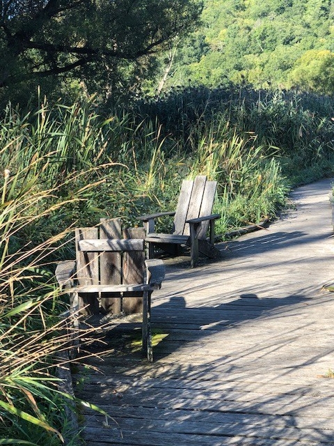 Adirondak Chairs