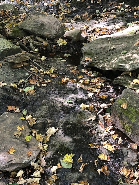 Water Source for Telephone Pioneer Shelter