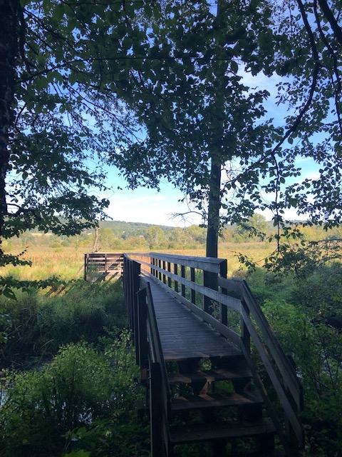 Boardwalk Bridge