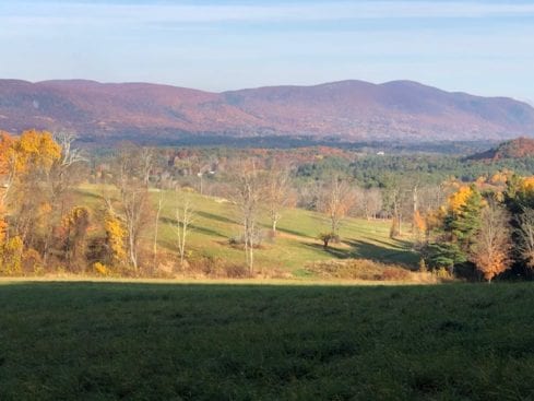 View Outside Salisbury