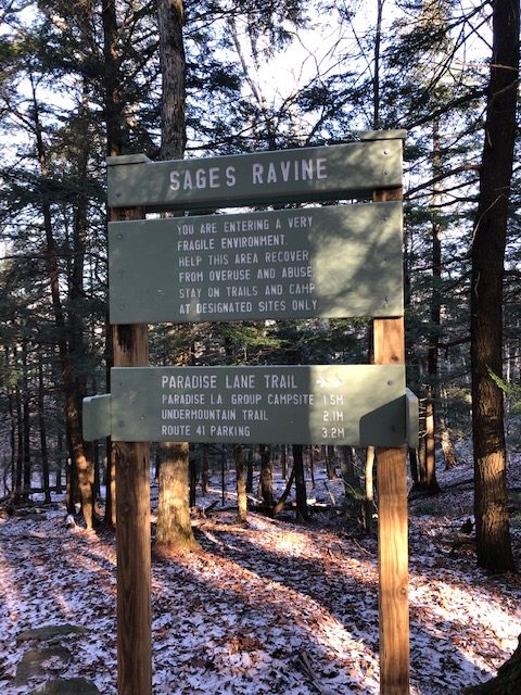 Junction for Sages Ravine