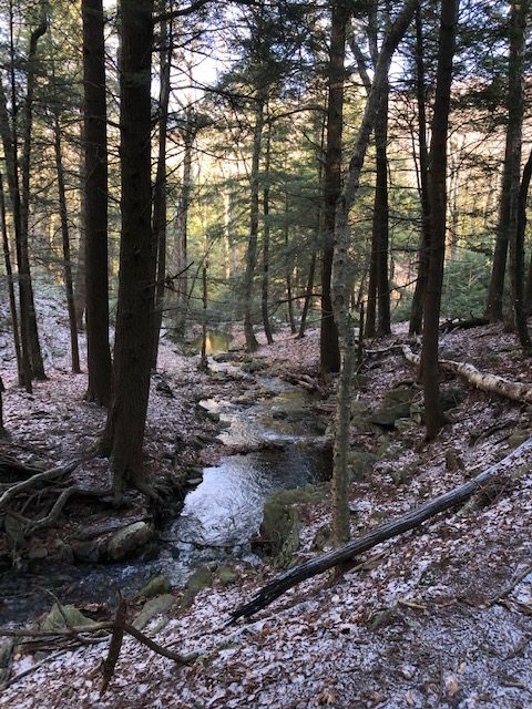 Creek in Sages Ravine