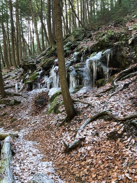 Ice cycles in Sages Ravine