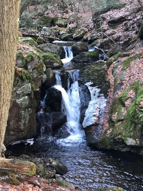 Waterfall in Sages Ravine