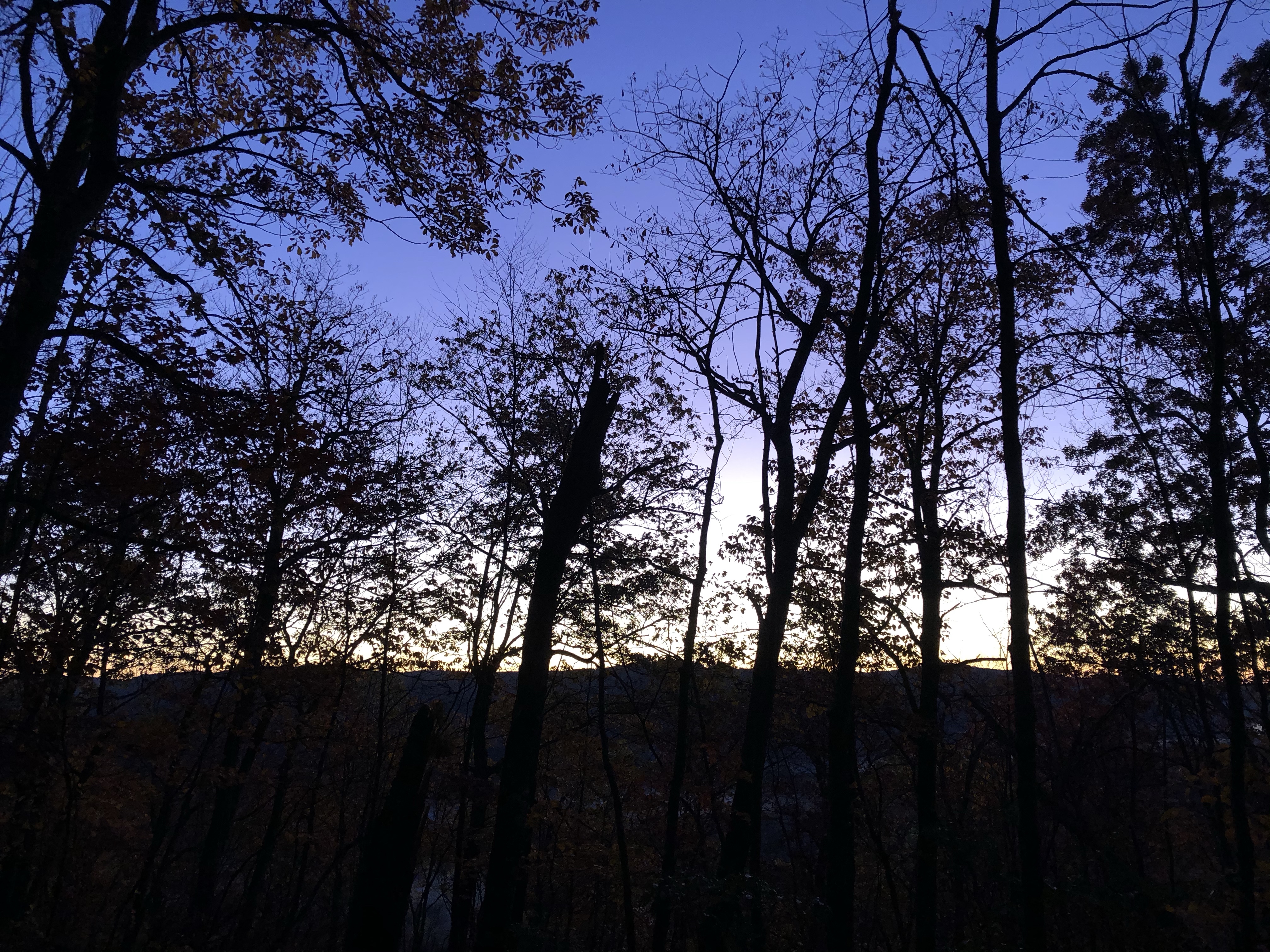 Early Fall morning on the Appalachian Trail