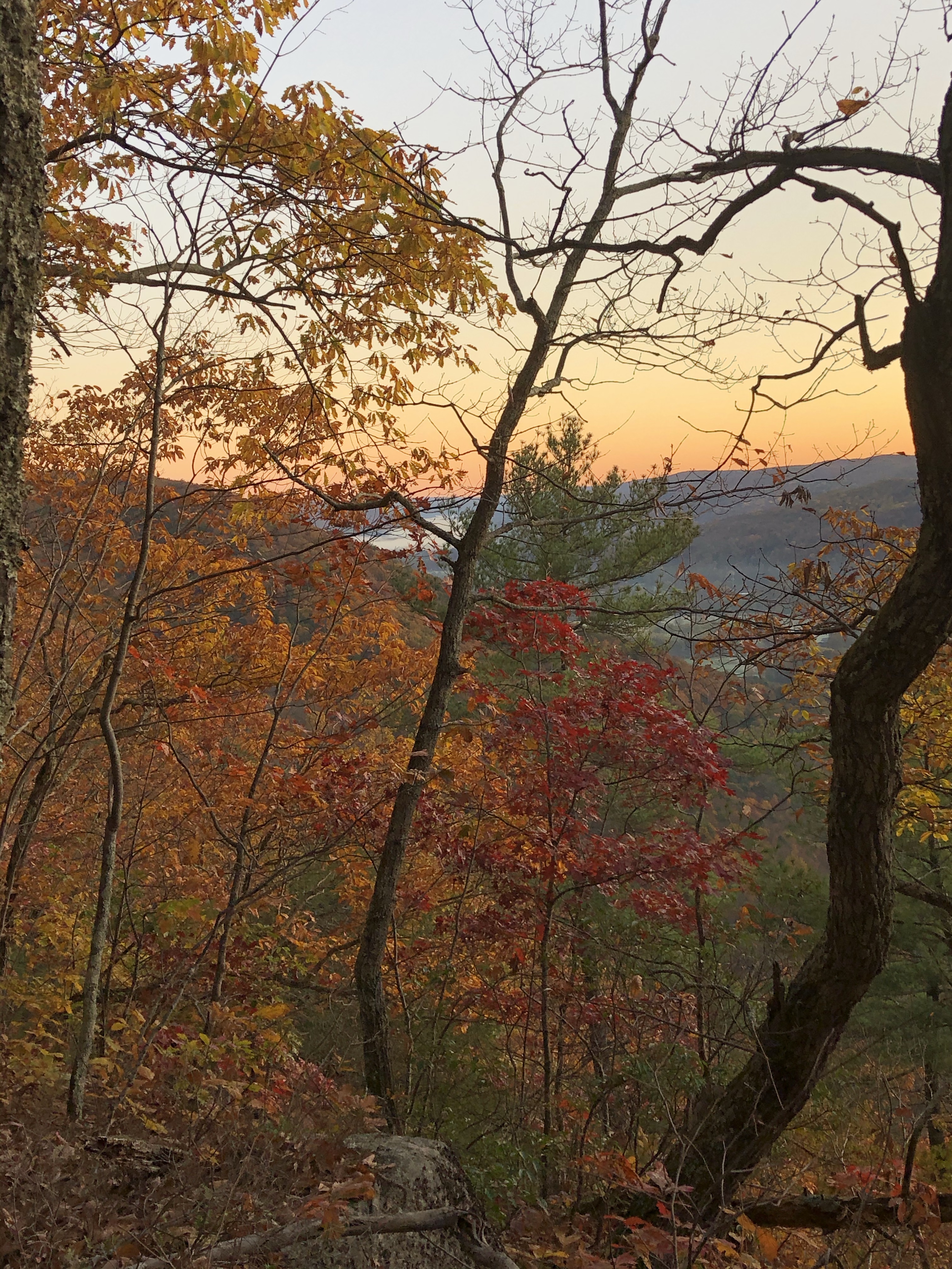 Sunrise on the Appalachian Trail