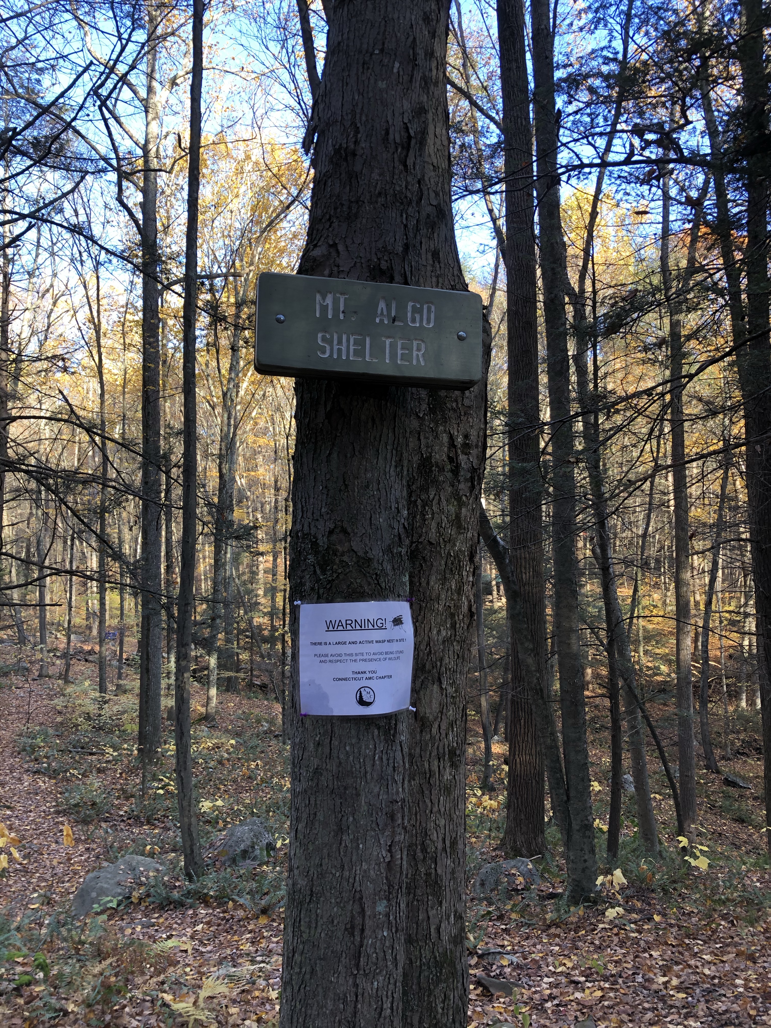 Sign for Mt. Algo shelter on the Appalachian trail.