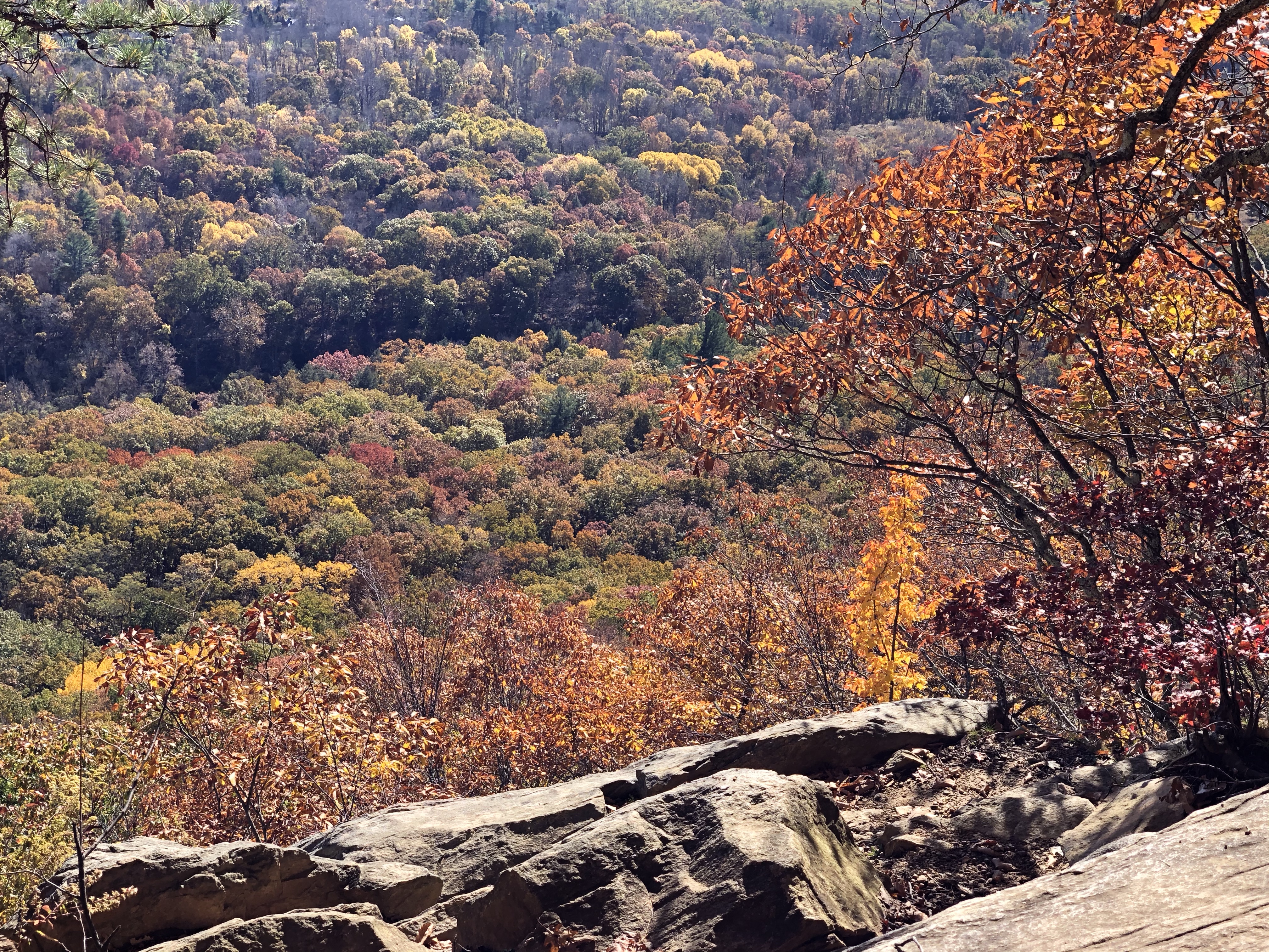 Fall Hike to St. John's Ledges on the Appalachian Trail