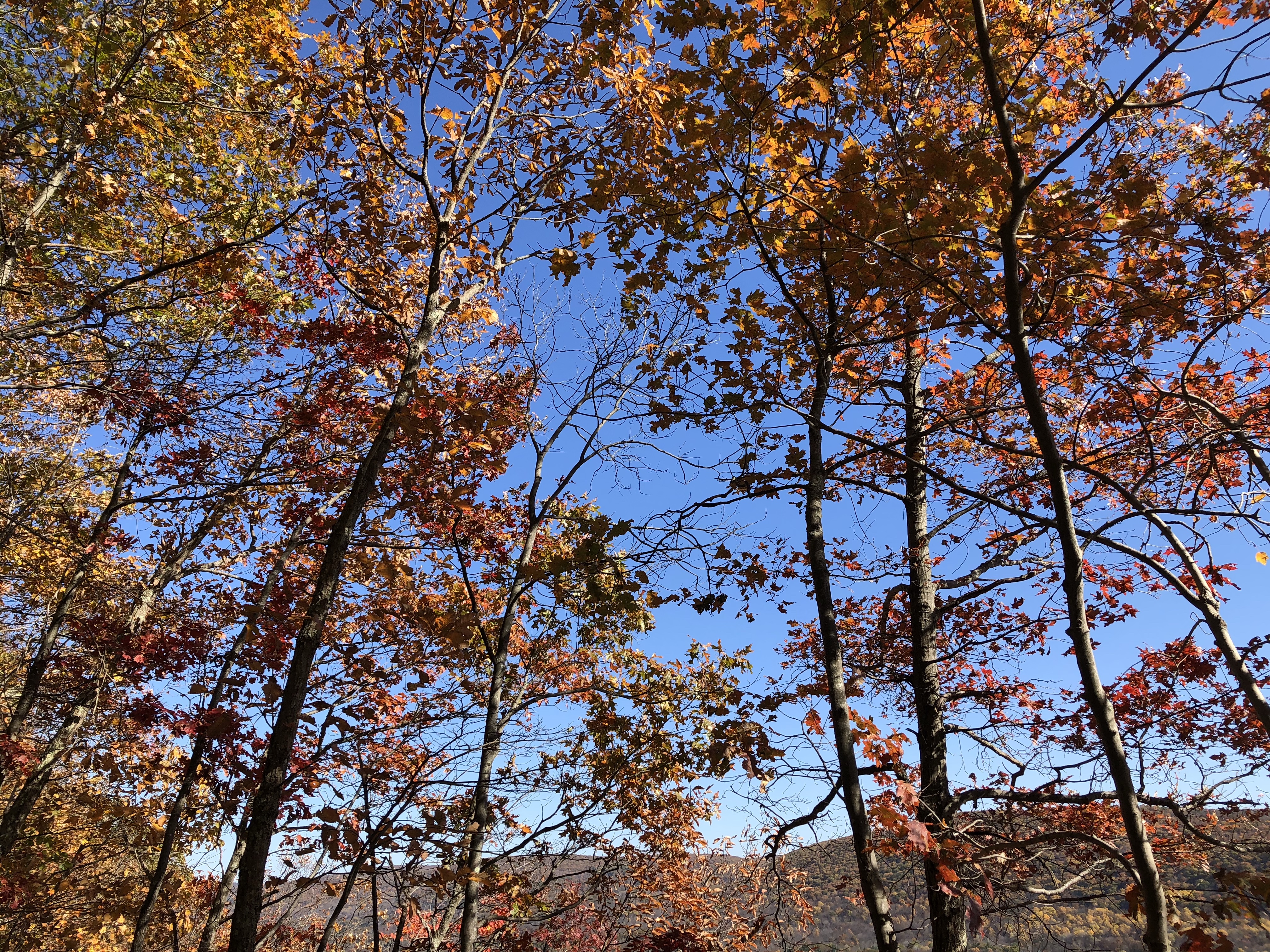 Fall Hiking near St John's Ledges on the Appalachian Trail