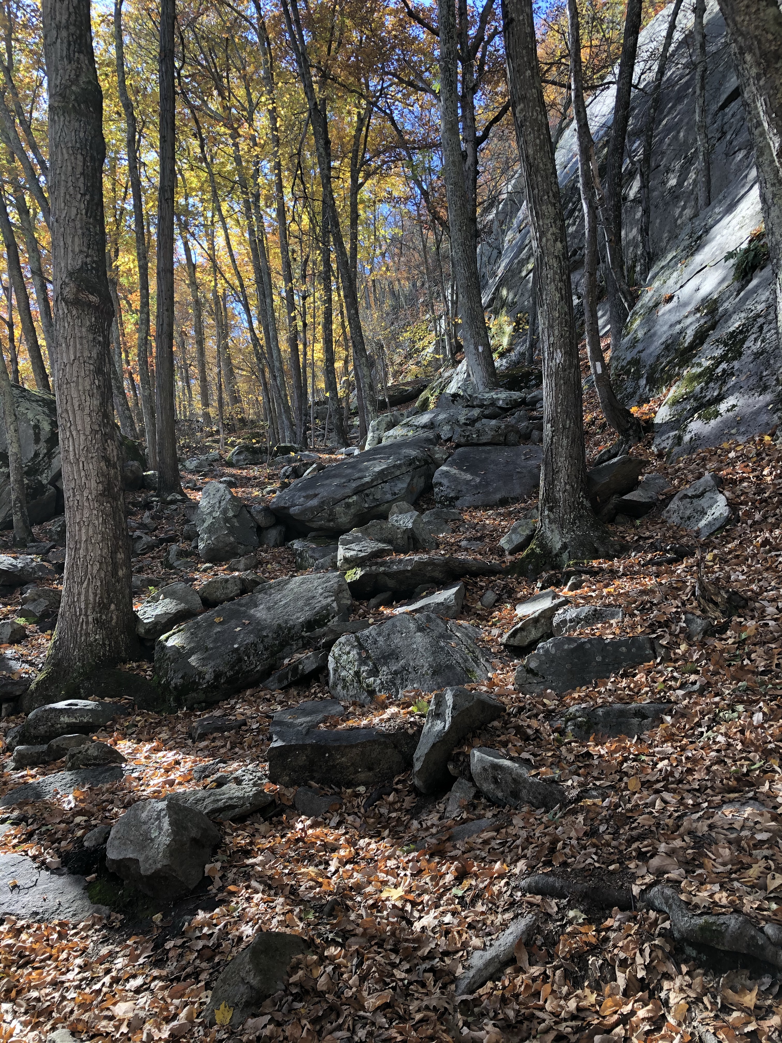 Fall Hiking on the Appalachian Trail