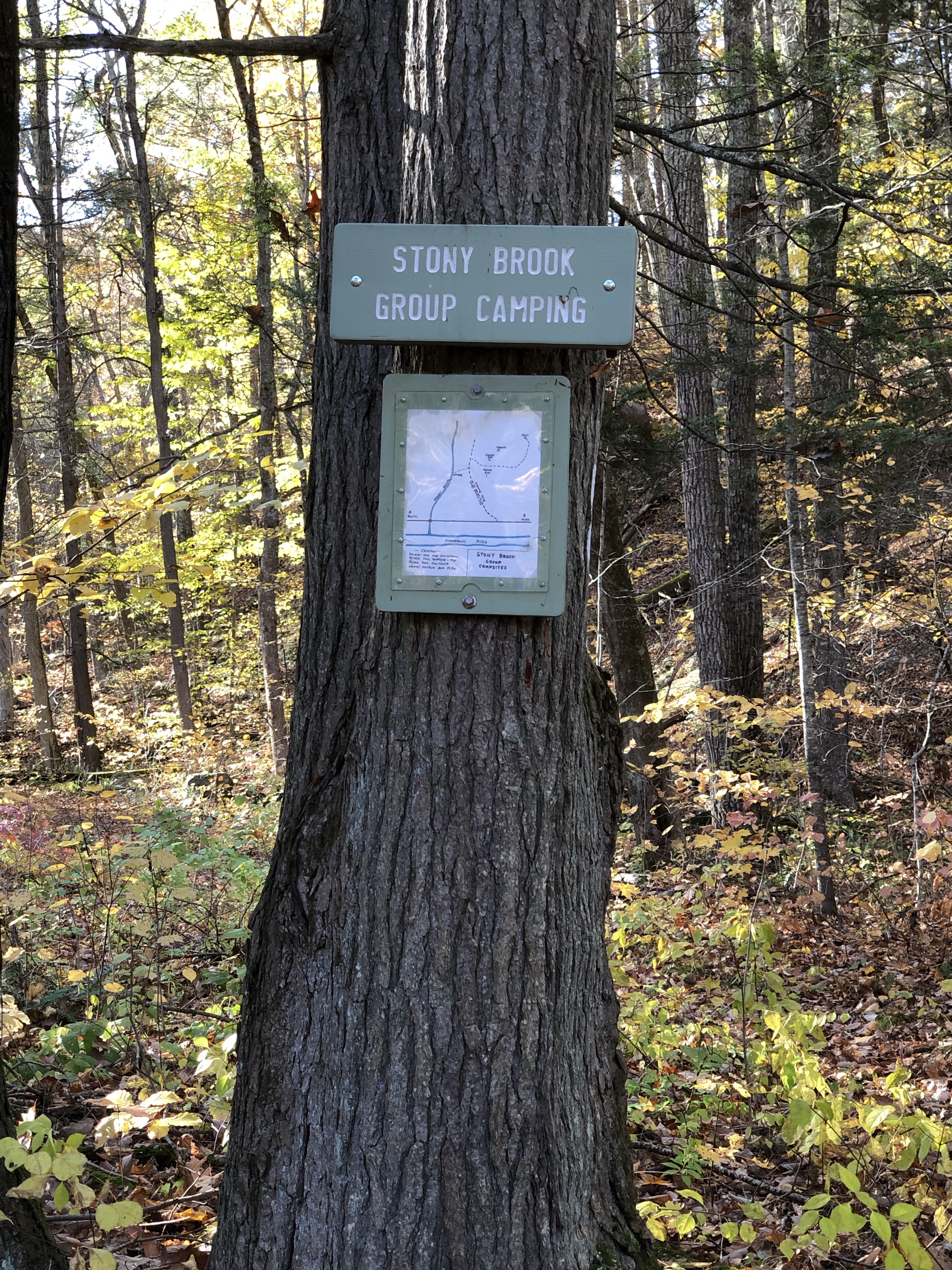 Stony Brook Campsite on the Appalachian Trail