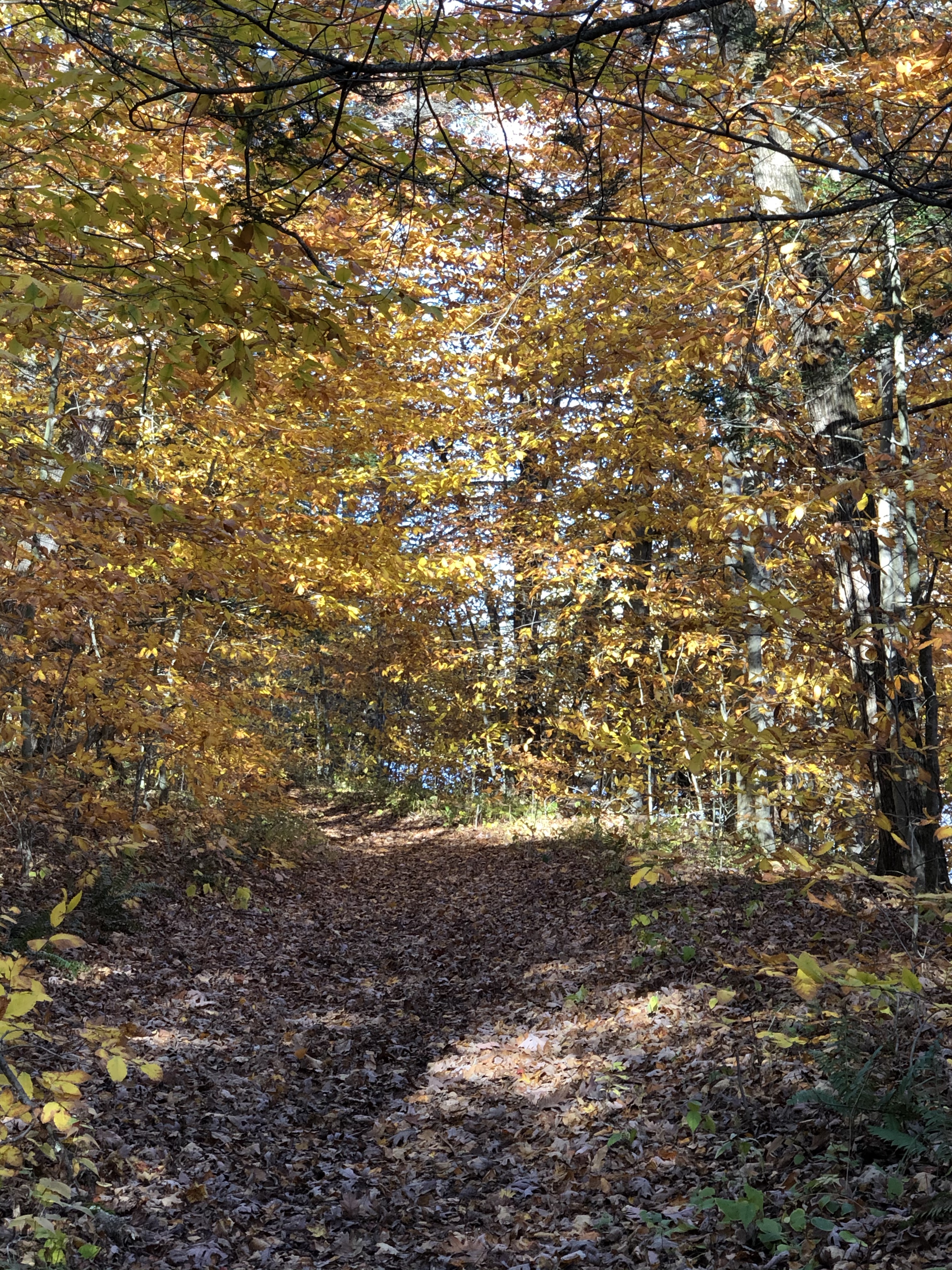 Fall Hiking on the Appalachian Trail in Connecticut