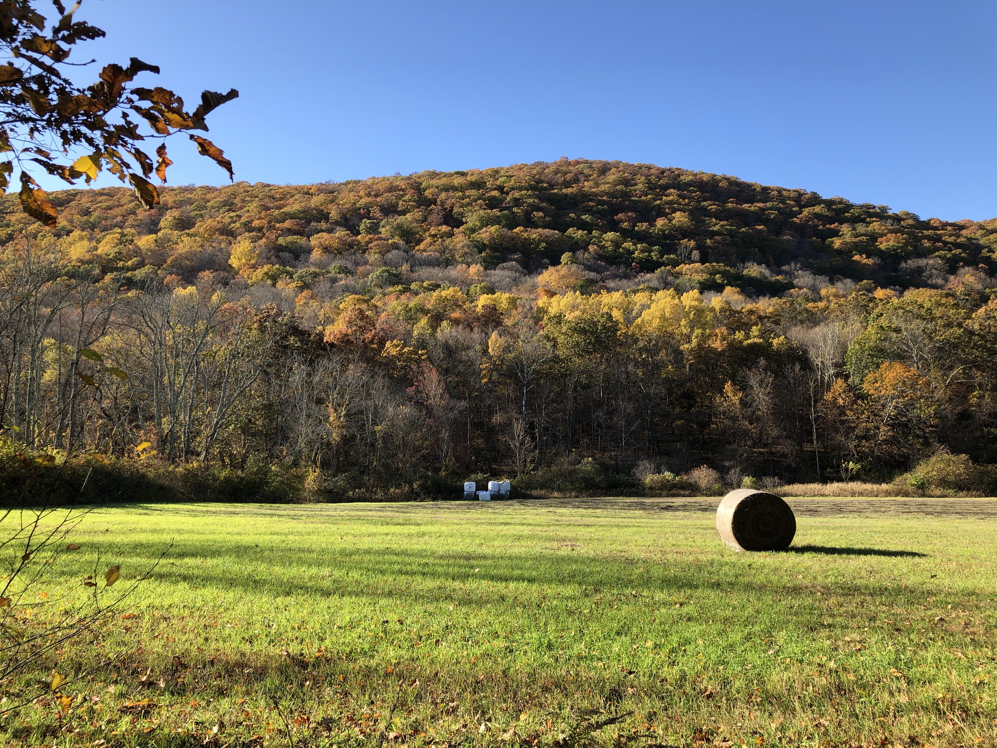 Fall Hiking on the Appalachian Trail in Connecticut