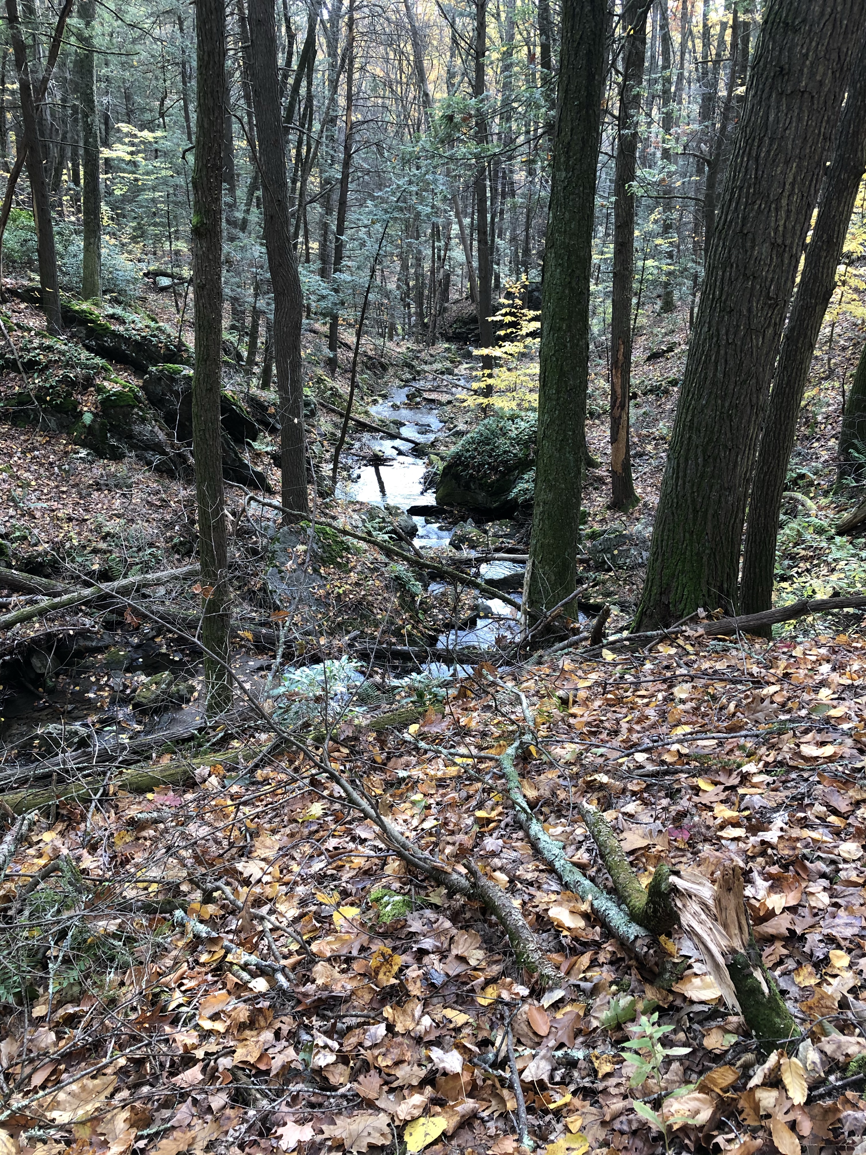 Fall Hiking on the Appalachian Trail