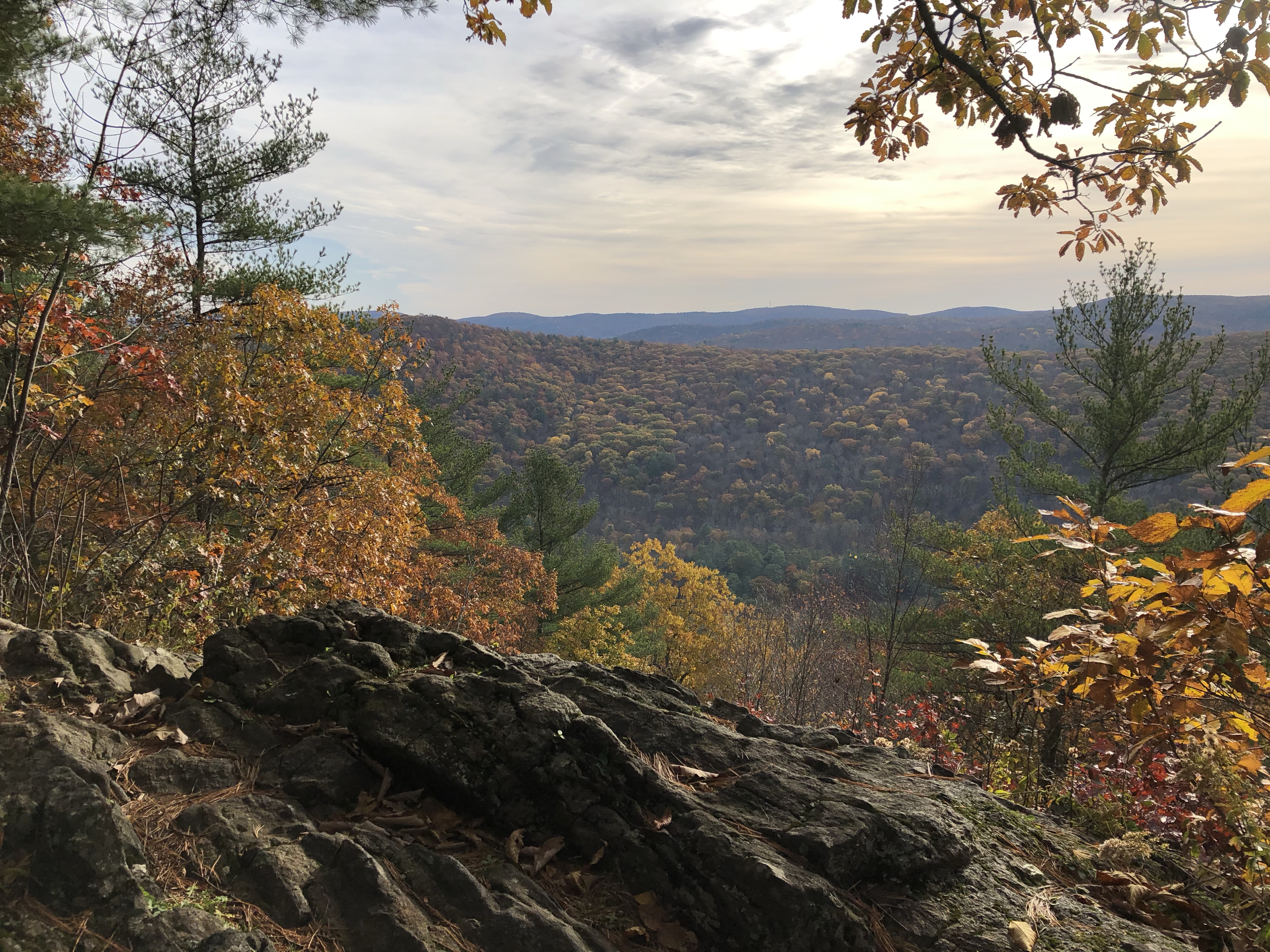 View near St. John's Ledges.