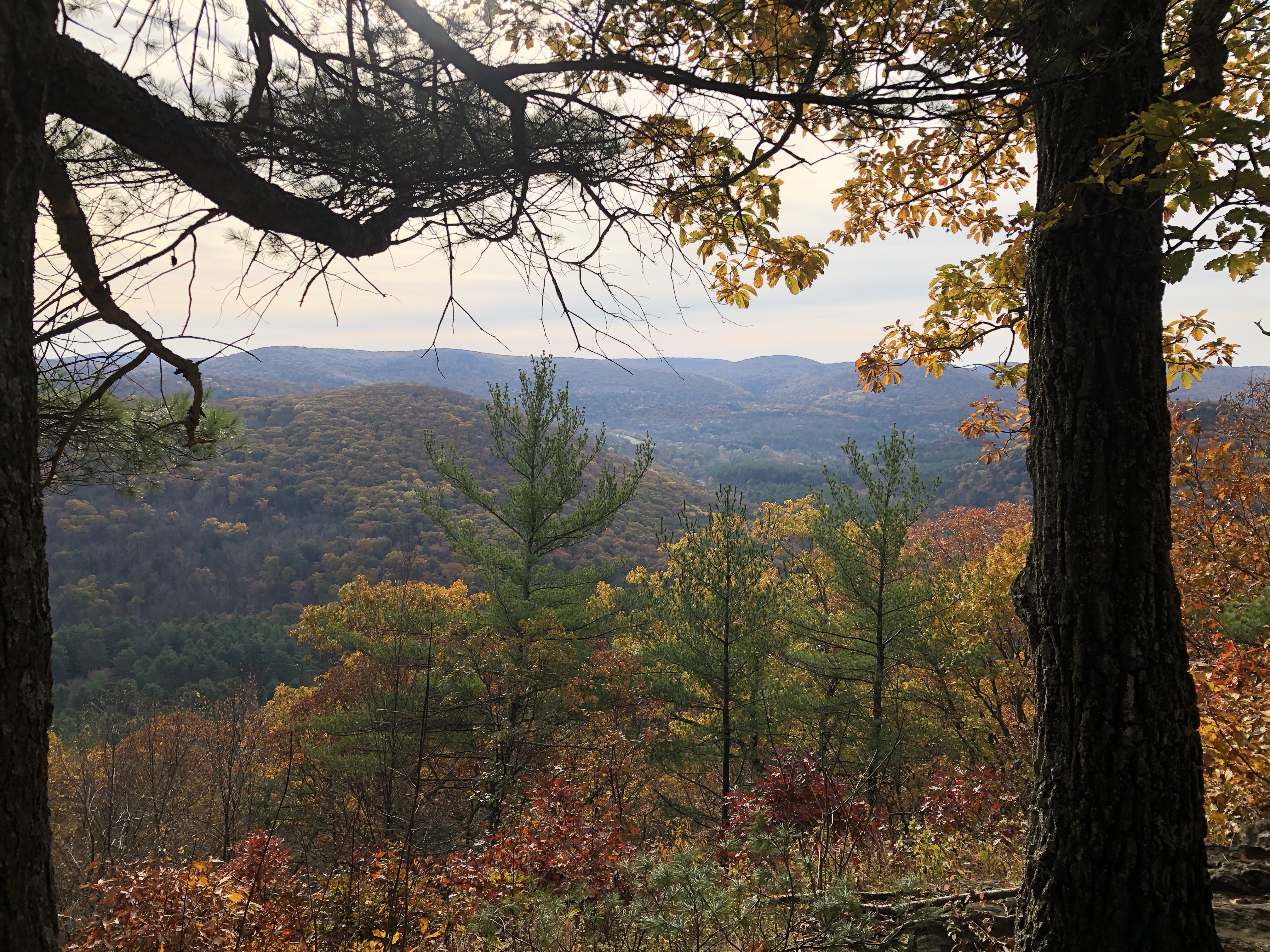 Fall Hiking on the Appalachian Trail