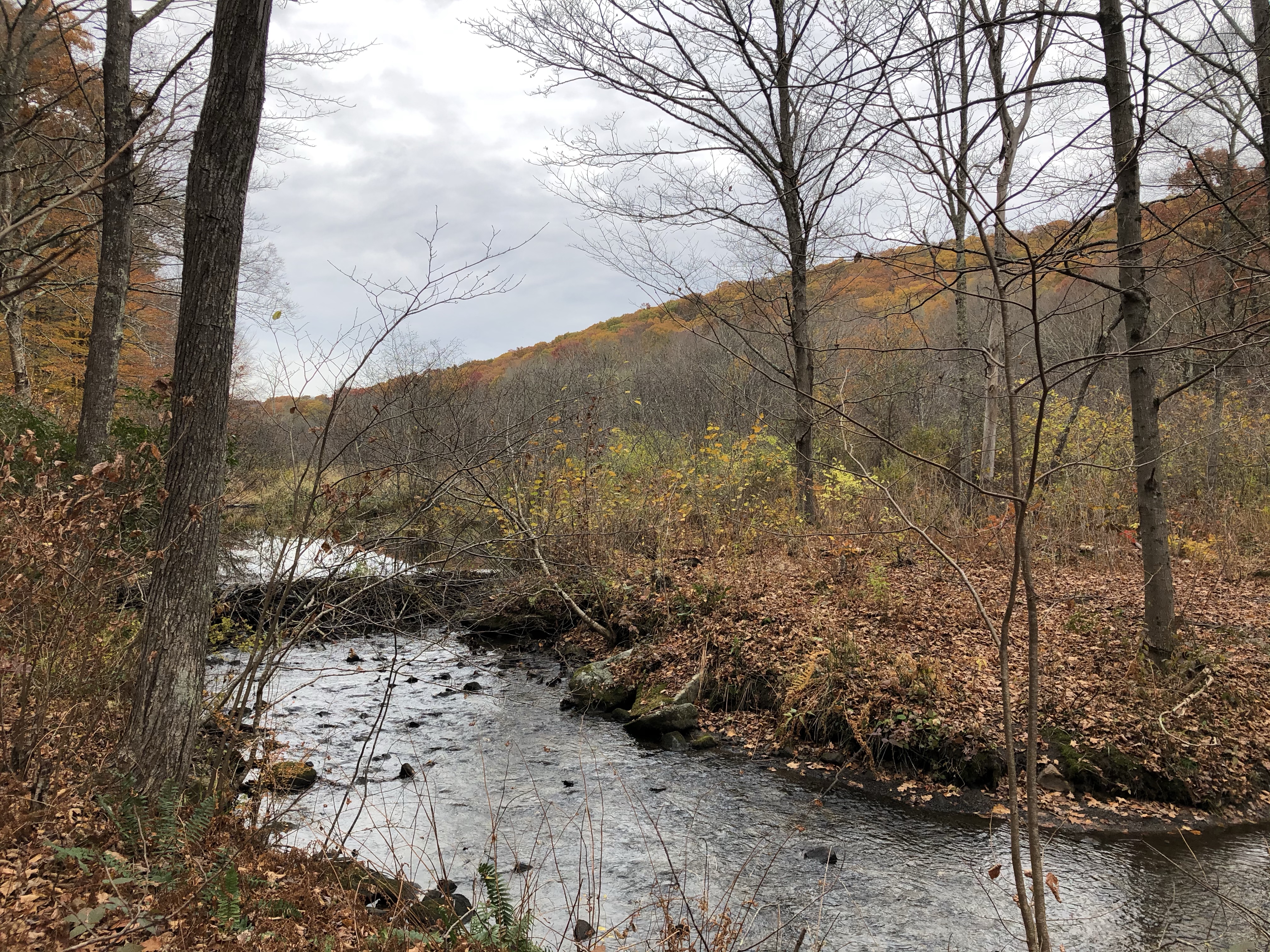 Fall Hiking on the Appalachian Trail