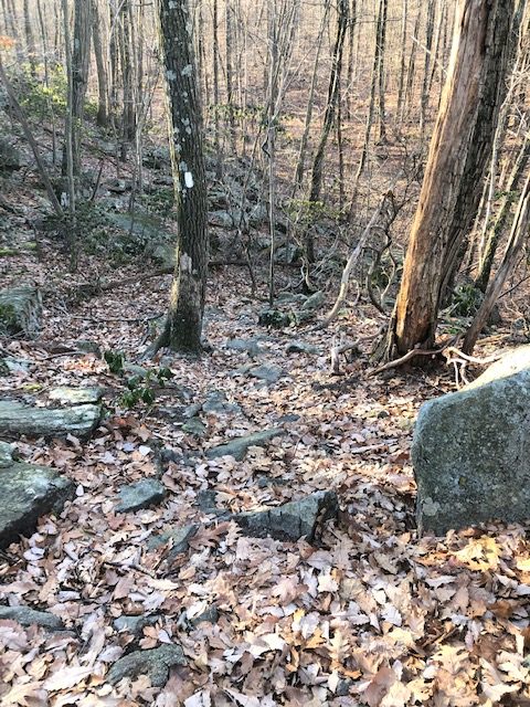 Rocky AT Trail in New York