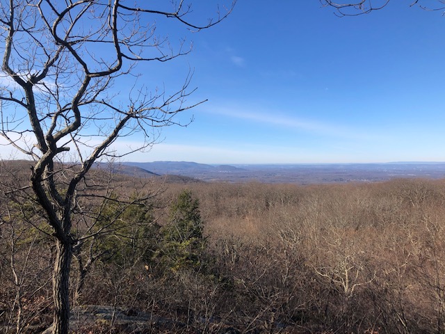 Views Near Mt. Egbert