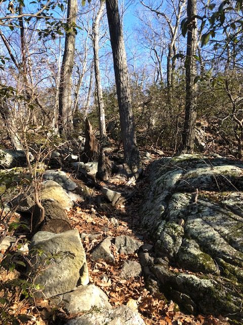 NY Terrain on the Appalachian Trail