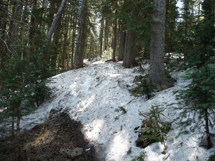 Snow on Mount Taylor