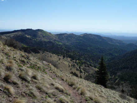 Summit Climb Mt Taylor