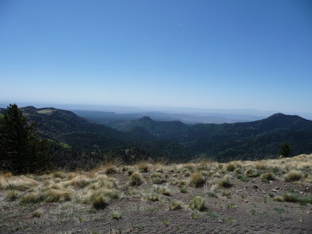 Views on North Side of Mt. Taylor