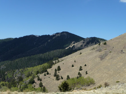 Mt Taylor Ridge Views