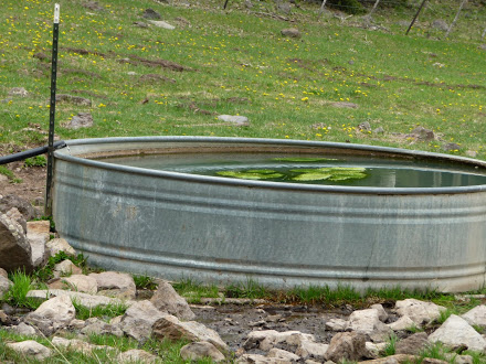 American Canyon Spring Tank