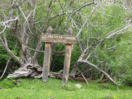 American Canyon Spring