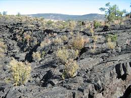 Zuni-Acoma Trail