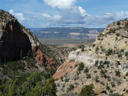 Terrain outside Cuba NM