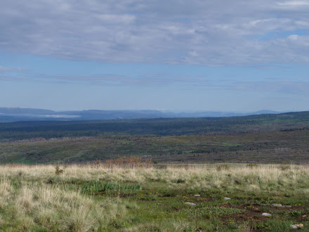 After Ghost Ranch