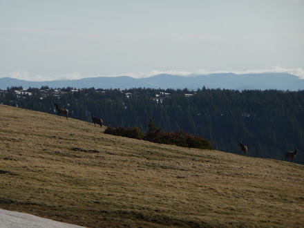 San Juans in the Distance