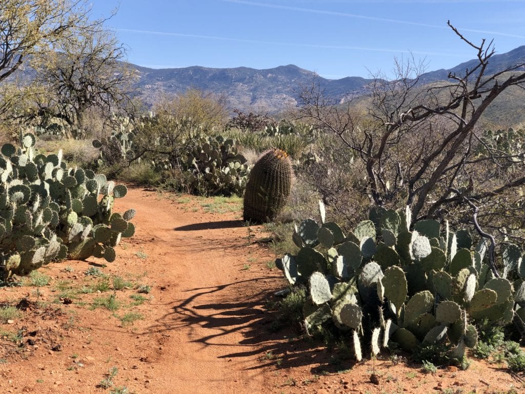 Arizona Trail Clothing Layers in the  Sonoran Desert