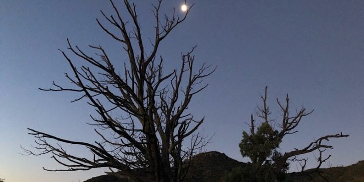 Moon rise on the AZT