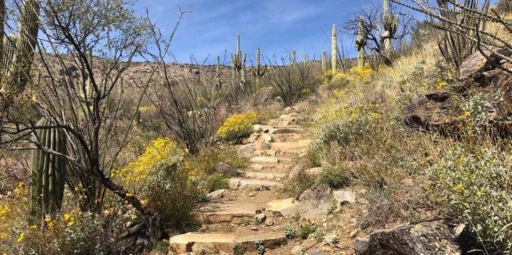 Climb to Grass Shack on the AZT