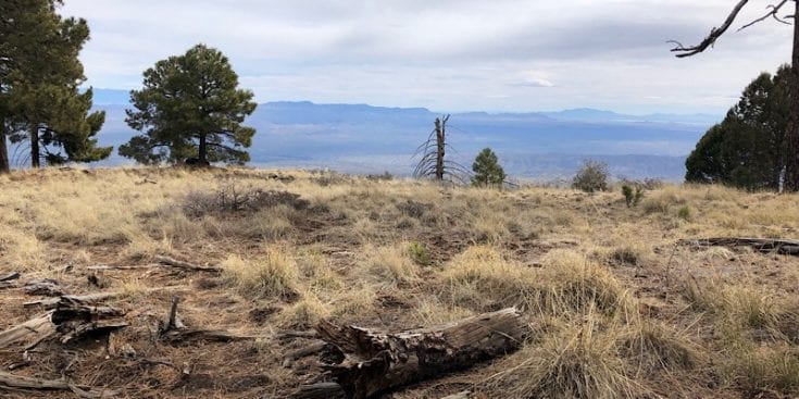 Small Plateau after Mica Peak