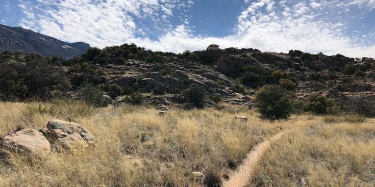 Below Mica Mountain