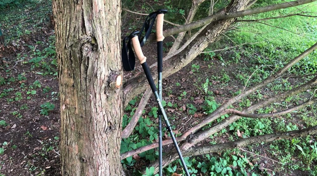 black diamond alpine carbon cork hiking poles