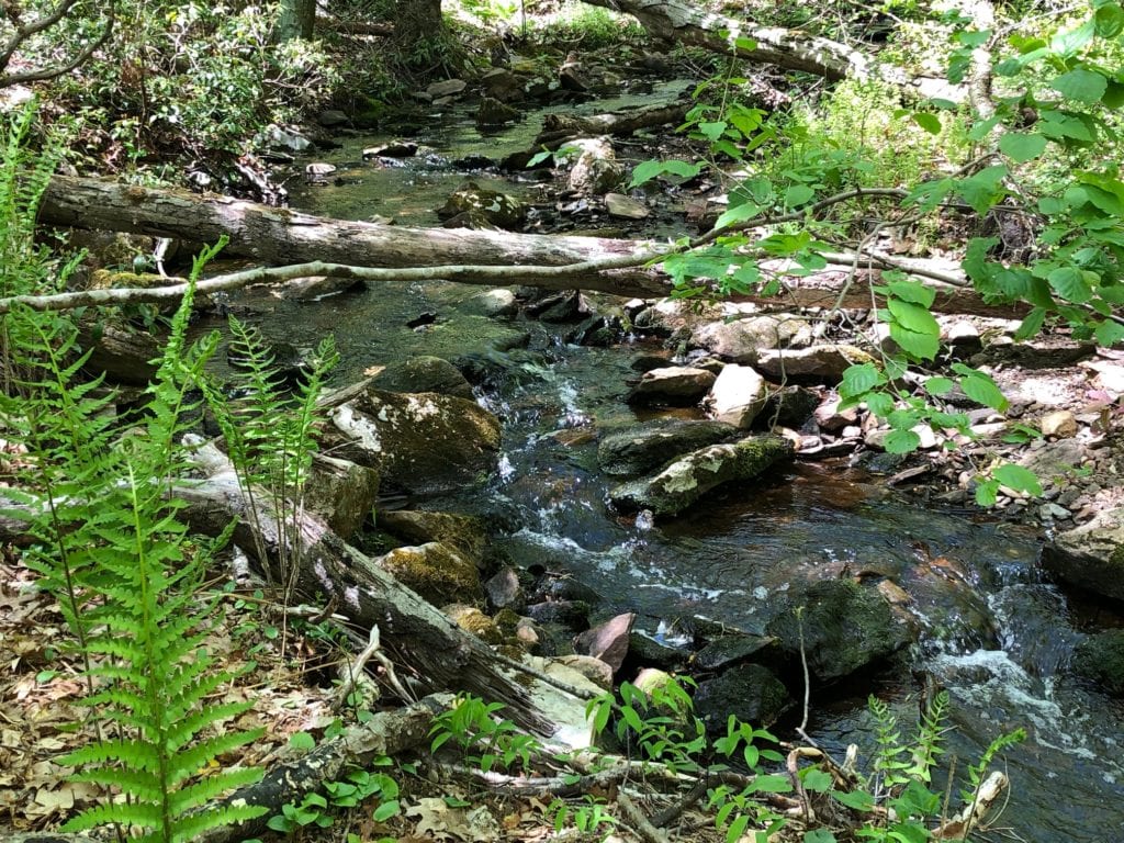 mattabesett net brook